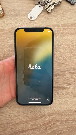 iPhone 12 Pro 256GB Gris