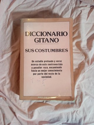 Diccionario gitano: sus costumbres