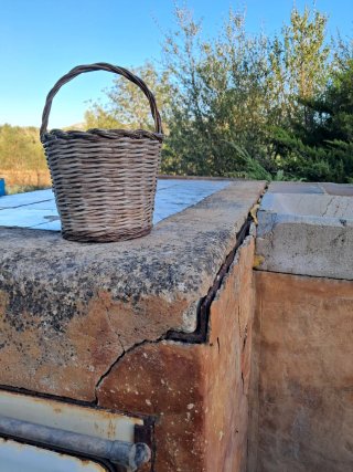 Cesta de Mimbre Antigua
