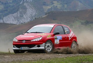 Peugeot 206 xs