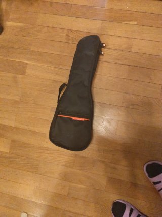 Ukelele con funda