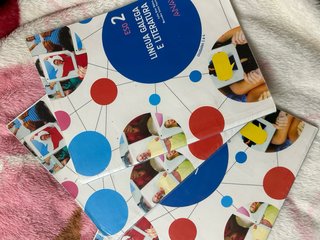 Lingua galega e literatura, ESO 2