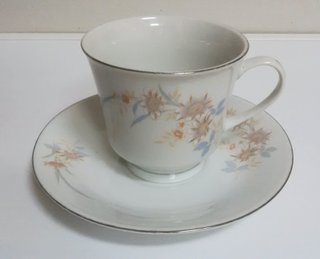 Juego 6 tazas de café con platos Porcelana Danbai