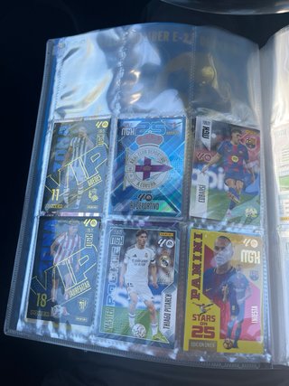 Lote de 300 Cromos Panini Sin Repetir