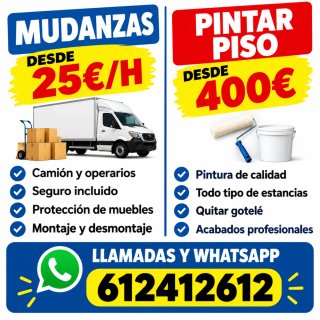 Mudanzas y pintor económico