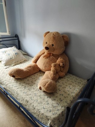 Oso de Peluche Gigante