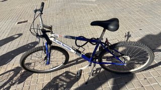 Bicicleta de Montaña Globe Trotter