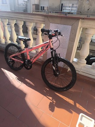 Bicicleta Monty Rosa