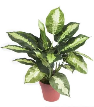 Planta artificial galatea 49 cm altura, Catral