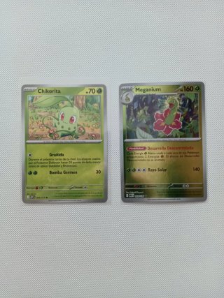Cartas Pokémon Chikorita y Meganium