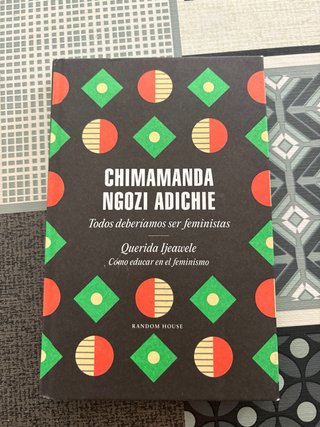 TODOS DEBERIAMOS SER FEMINISTAS - Chimamanda Ngozi