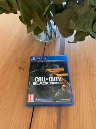 Call of Duty: Black Ops 6 (PS4)
