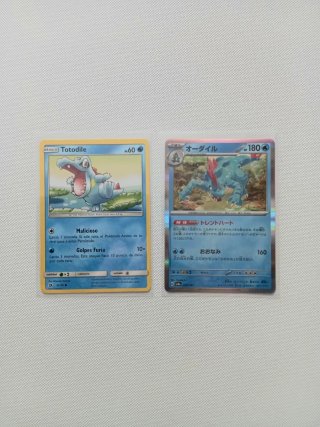 2 Cartas Pokémon Totodile y Feraligatr