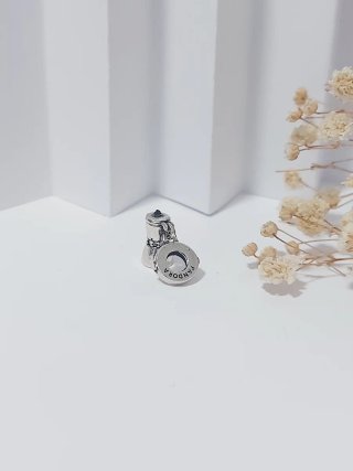 Charm Pandora