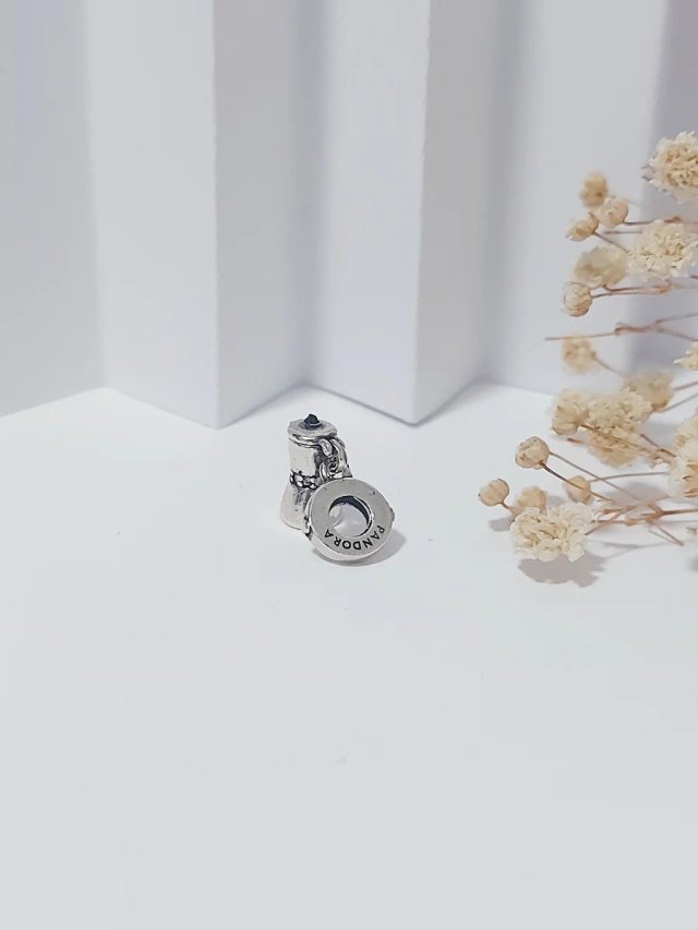 Charm Pandora