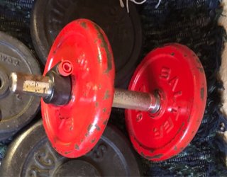 Mancuerna Salter 10kg