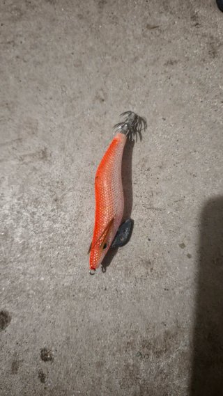 Señuelo para Pesca de Sepia