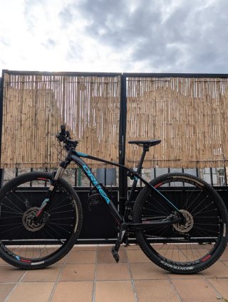 Bicicleta Orbea Alma 29 Talla L