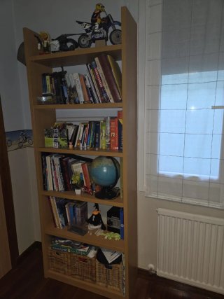Librería Juvenil de Madera