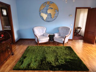 Alfombra verde de Pelo Largo