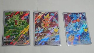 Cartas Pokémon First Partner Serie 3 Trío Hoenn