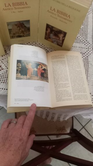 Libri Bibbia antico e nuovo testamento