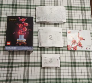 LEGO Botanicals Plum Blossom 10369
