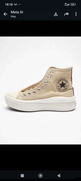 Converse Chuck Taylor All Star Move Hi