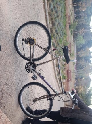 Bicicleta de Montaña Clásica