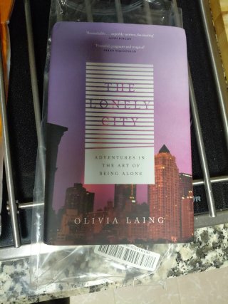 The lonely city: adventures in the art of being...