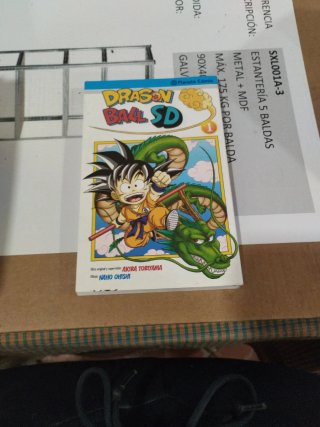 Bulma, Goku y las Bolas de Dragón