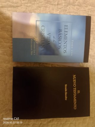 Elementos Basicos de la Vida Christiana