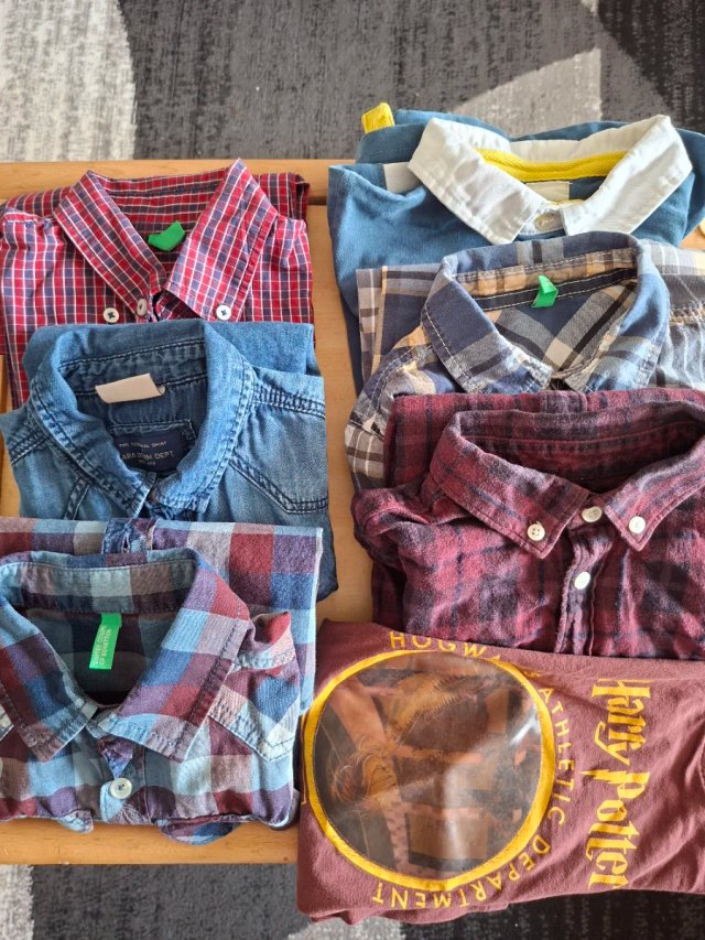Lote de 7 camisas variadas