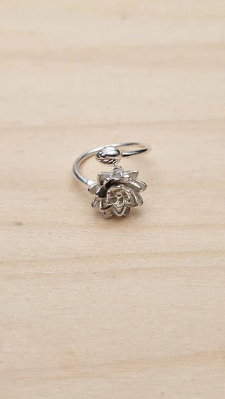 Anillo acero inoxidable
