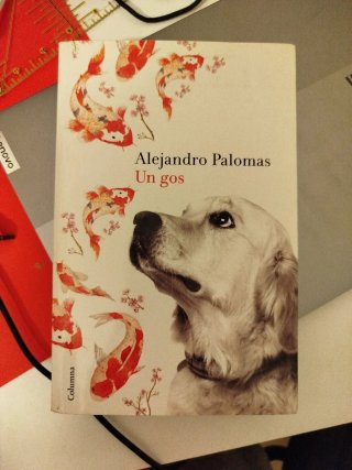 Un gos