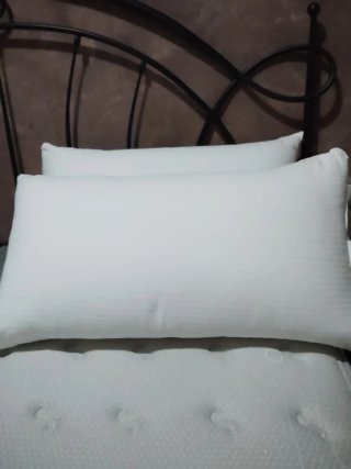 Juego de 2 Almohadas Flex Firm Plus firmeza alta.