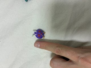Figura Pokémon Venonat