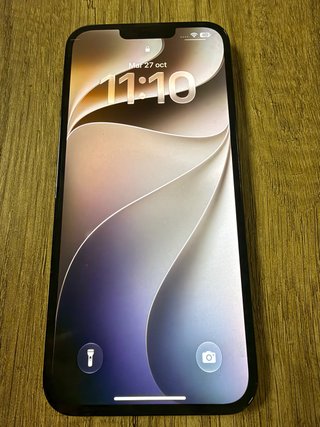iPhone 13 Pro Max 256GB