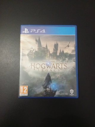Hogwarts Legacy (PS4)