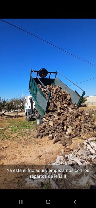 Leña de Naranjo para Chimenea