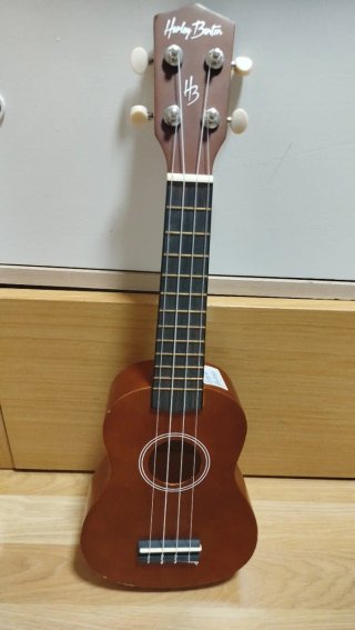 Ukelele con funda
