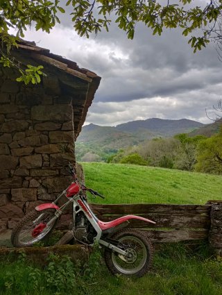 Montesa Cota 315R