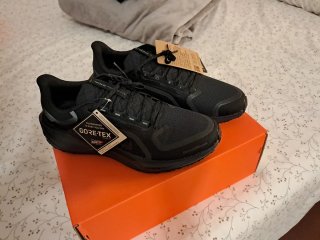 Zapatillas Nike Pegasus 41 GTX