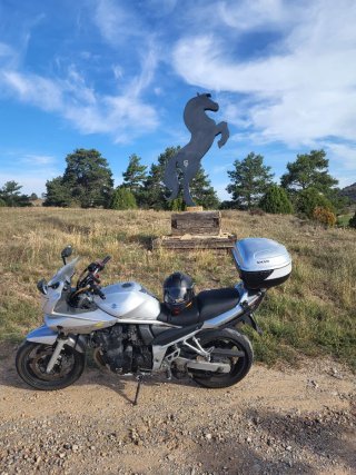 Suzuki Bandit 650S