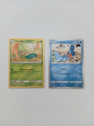 2 Cartas Pokémon: Treecko y Mudkip