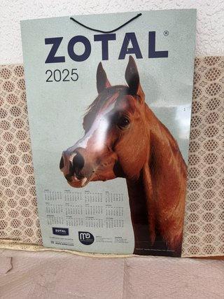 Cartel Calendario Zotal 2025 de Chapa