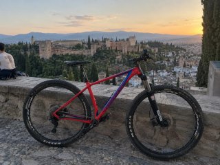 Bicicleta de Montaña Carbono 29