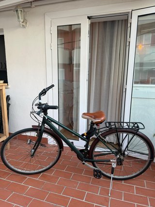 Bicicleta de paseo verde