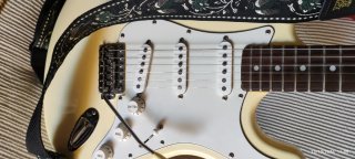 Guitarra Strato Entwistle EST62