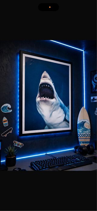 Póster Grande Tiburón Blanco - Lámina Sin Marco